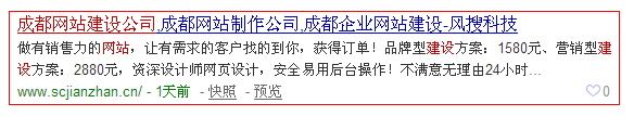 成都風搜科技網站建設